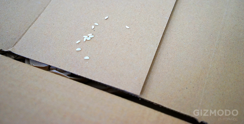 Illustration for article titled He hecho la misma compra en 7 supermercados online. Esta es mi experiencia